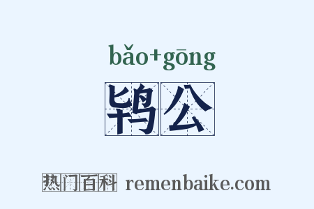 鸨公是什么意思的图片
